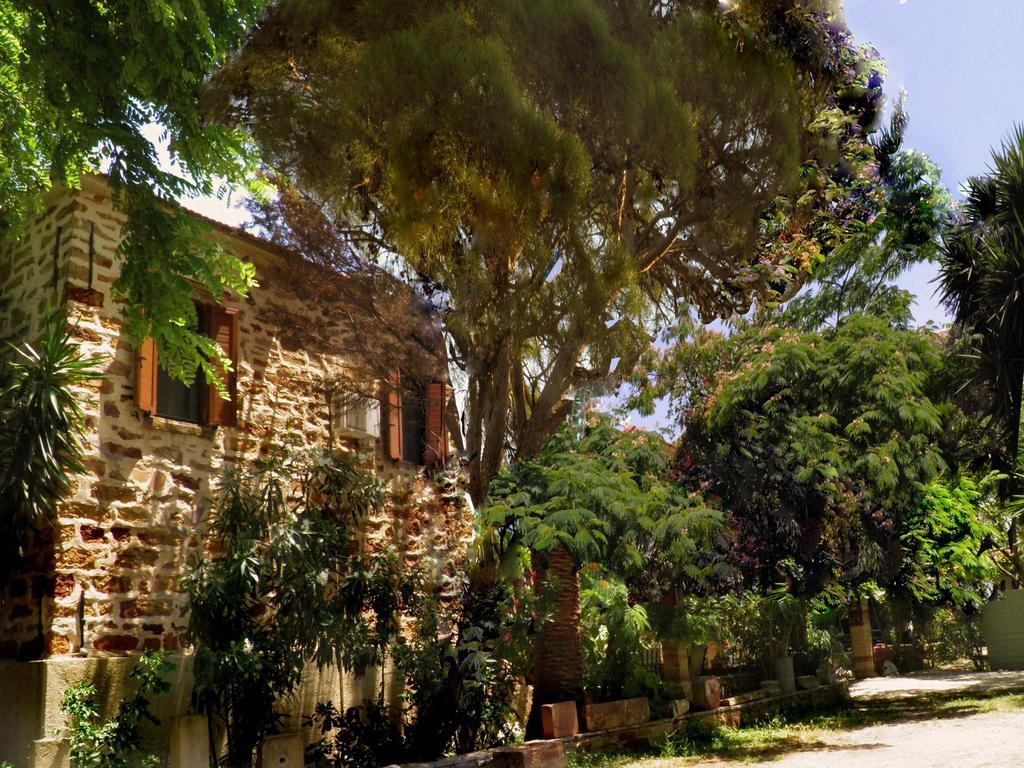 Clio Apartments *