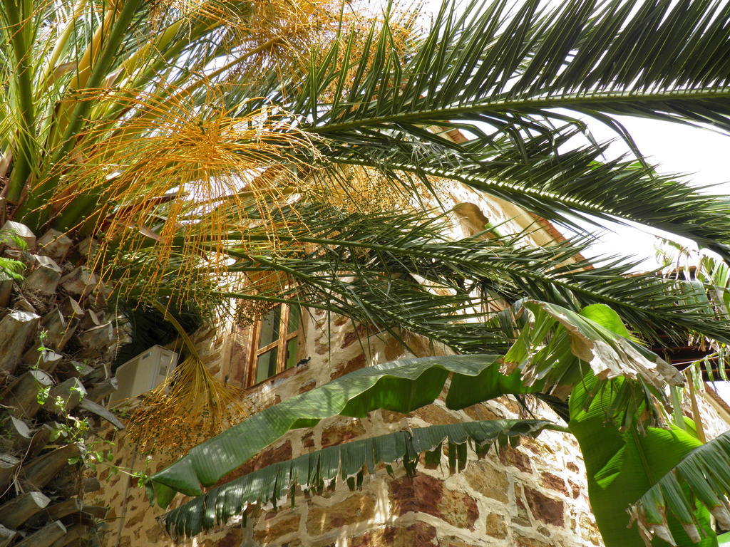 Clio Apartments Apartment Kampochora (Chios)